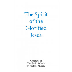 Spirit of the Glorified Jesus, The